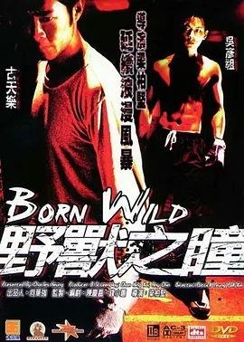 重回1990在线视频,1990年的中国记忆与变迁