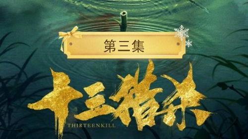 在线视频猎杀十三集,惊心动魄的生存游戏
